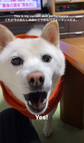 イエステロップ