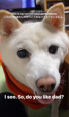 そっか、お父さんも好き？テロップ