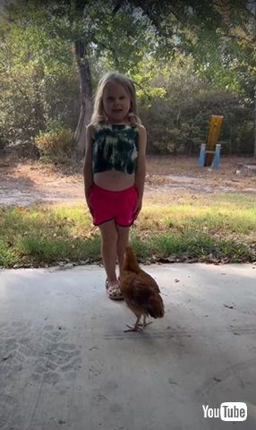 少女とニワトリ