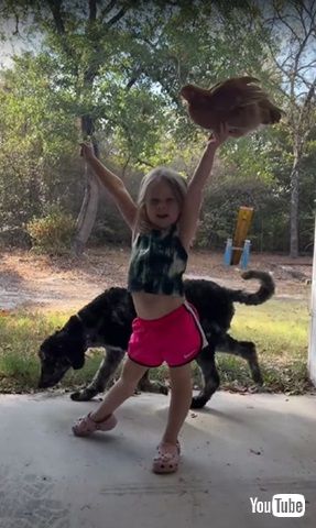 少女とニワトリ