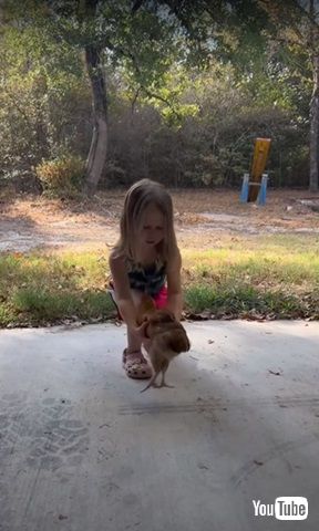 少女とニワトリ