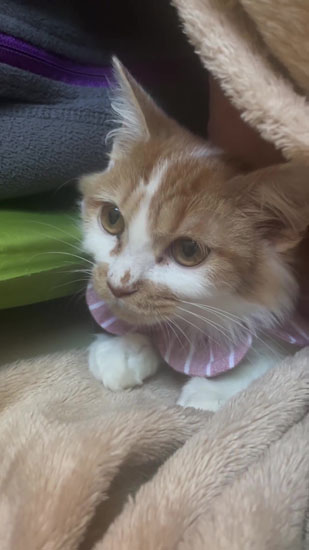 パパが好きなタイラーちゃん