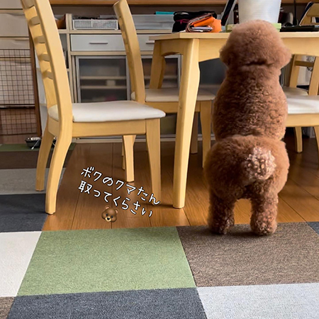 くまさん取って下さい