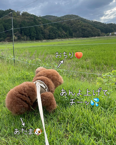 おしっこ中のどっちだ正解