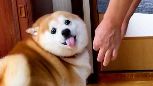 おすすめ