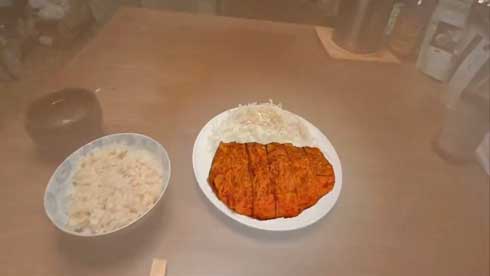 Meta Quest 3 無限 トンカツ 3D モデル スキャン VR MR