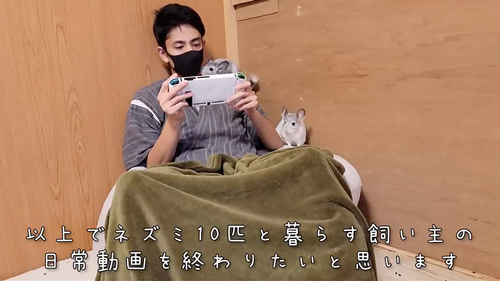 ネズミ10匹と暮らす飼い主の日常