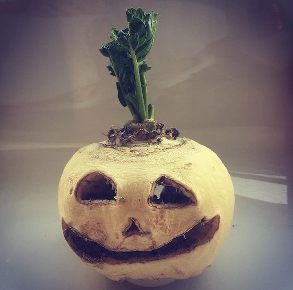 カブのランタンの画像