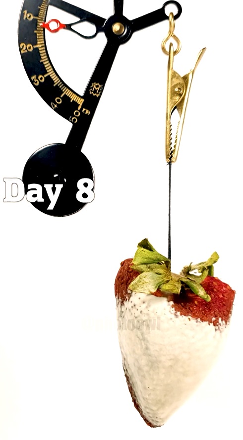 イチゴライムラプス02