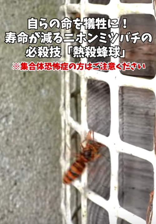 連れ去ってしまいました