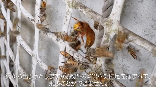 足をつかまれて