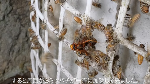 加勢してきました