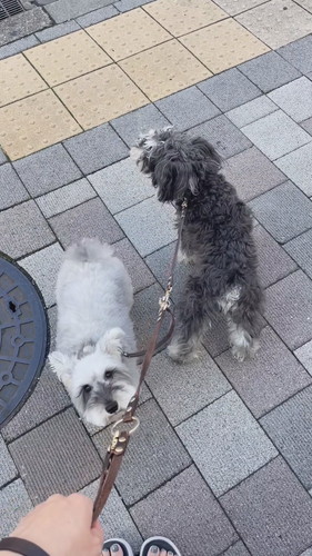 サイレンを聞くと……