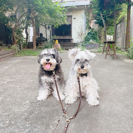 ジジちゃんとトトちゃん