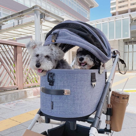 ジジちゃんとトトちゃん