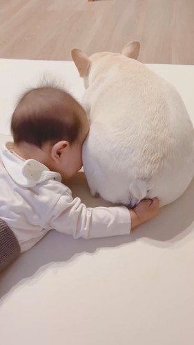 「尻餅を堪能する0歳児」