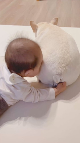 「尻餅を堪能する0歳児」