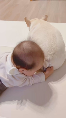 「尻餅を堪能する0歳児」