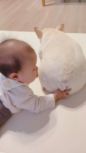 「尻餅を堪能する0歳児」