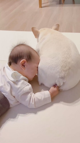 「尻餅を堪能する0歳児」