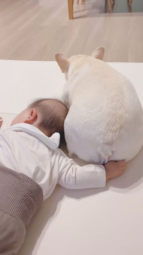 「尻餅を堪能する0歳児」