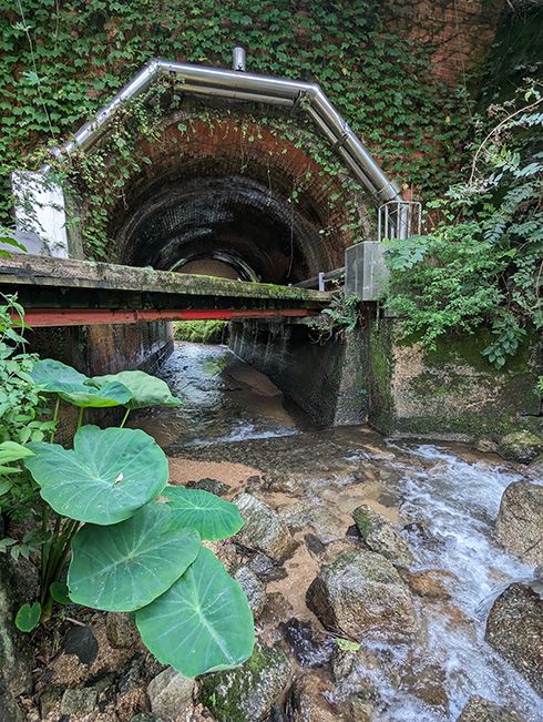 明治時代 水路 歩道