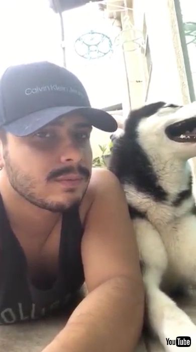 犬と並んでうつ伏せになっている飼い主