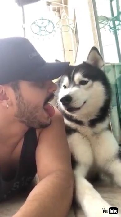 犬のモノマネをする飼い主