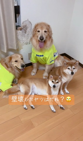 おすすめ
