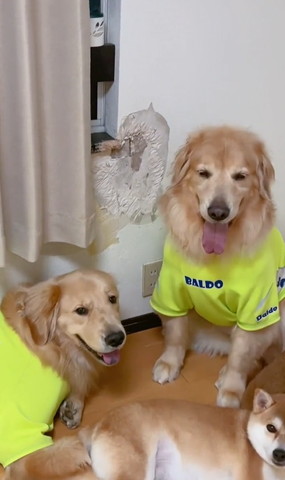 壊れた壁アップ