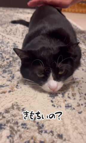 気持ちいい？のテロップ