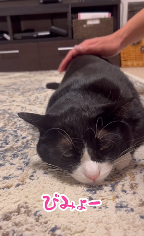 びみょーテロップ