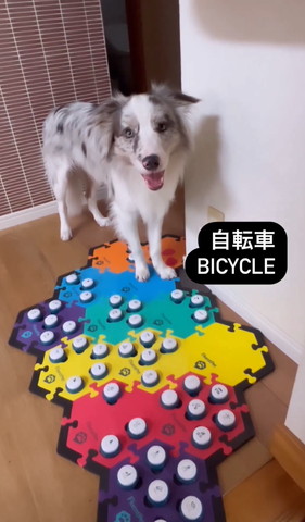 自転車テロップ