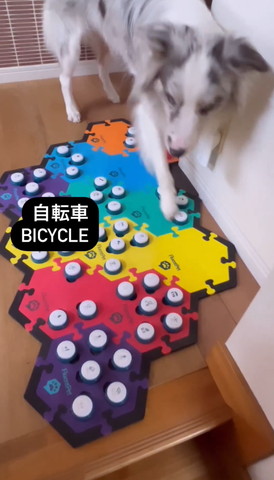 自転車テロップ