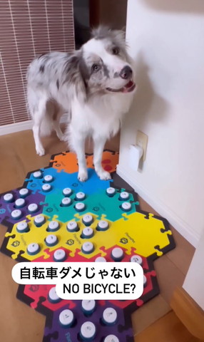 自転車ダメじゃないテロップ