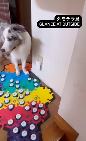 外をチラ見テロップ