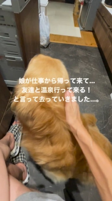 玄関を見つめる犬