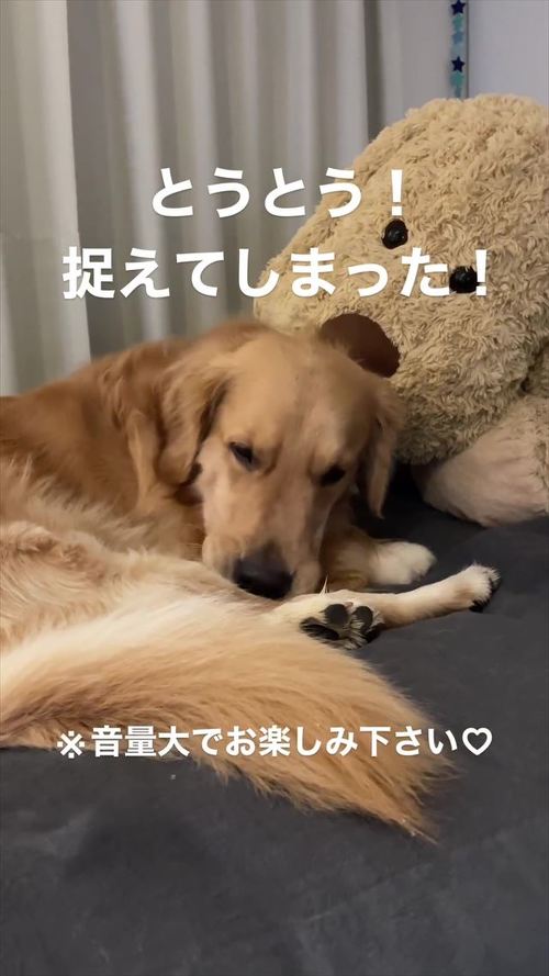 おならしちゃったトノくん