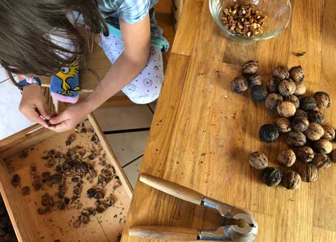 子ども 次女 7歳 パン作り 手作り くるみ 拾い リス パン屋