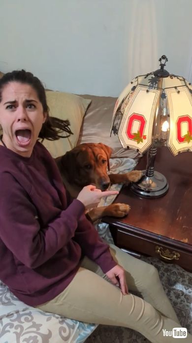 興奮する飼い主のガールフレンド