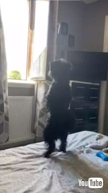 フラつきながら外を見る