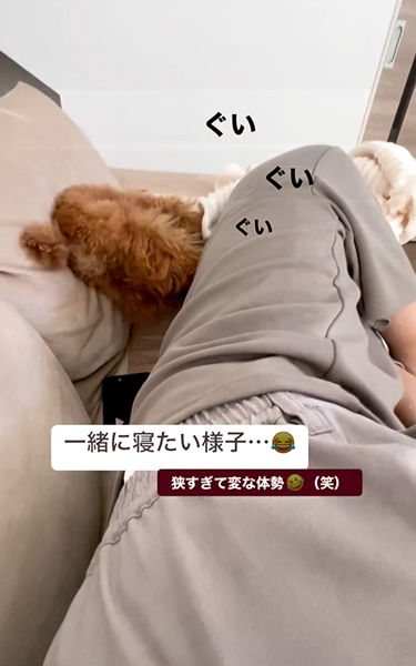 無理やり一緒に寝ようとするワンコ