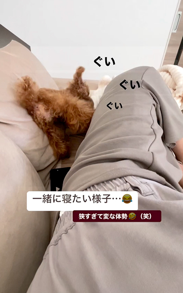 無理やり一緒に寝ようとするワンコ