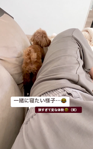無理やり一緒に寝ようとするワンコ