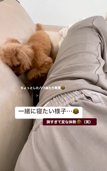 無理やり一緒に寝ようとするワンコ