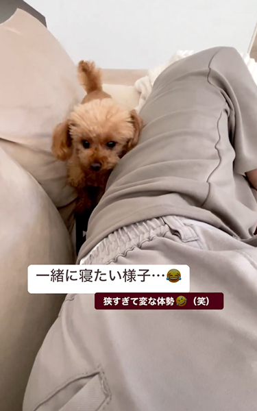 無理やり一緒に寝ようとするワンコ