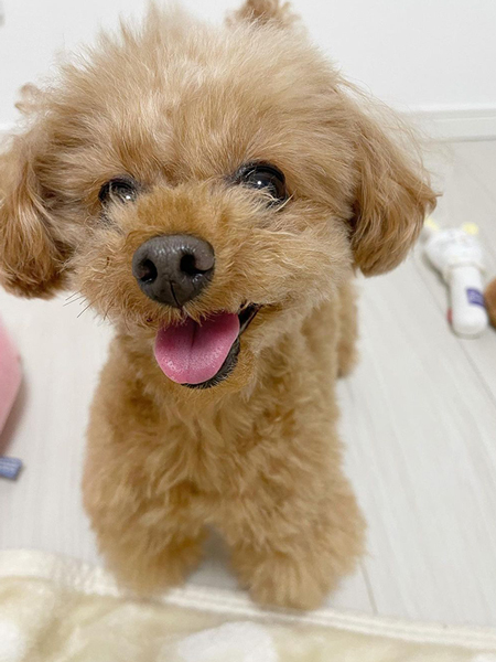 スマイルルルさん