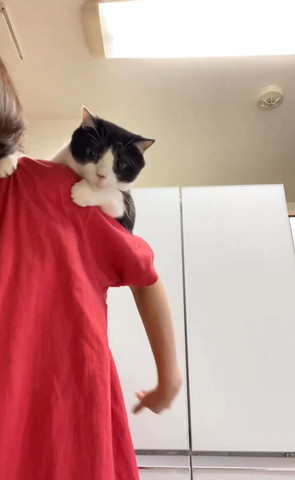 飼い主の肩に猫