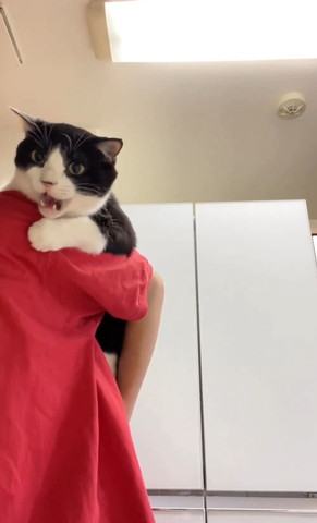 飼い主の肩で鳴いてる猫