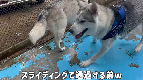 スライディング弟